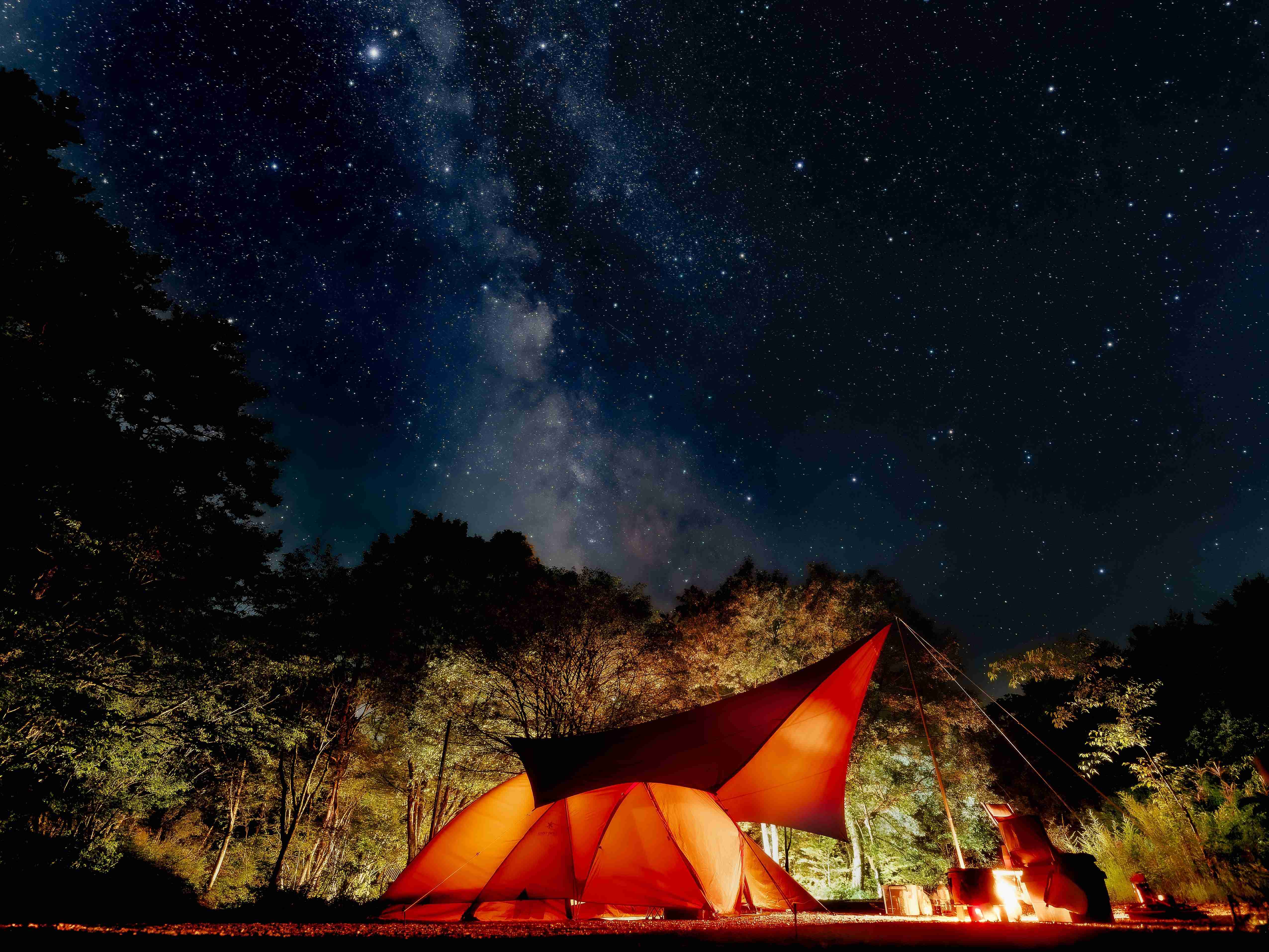 🏕️ 숲의 목장 오토캠핑장(모리노마키바오토캠프조) 이미지 7